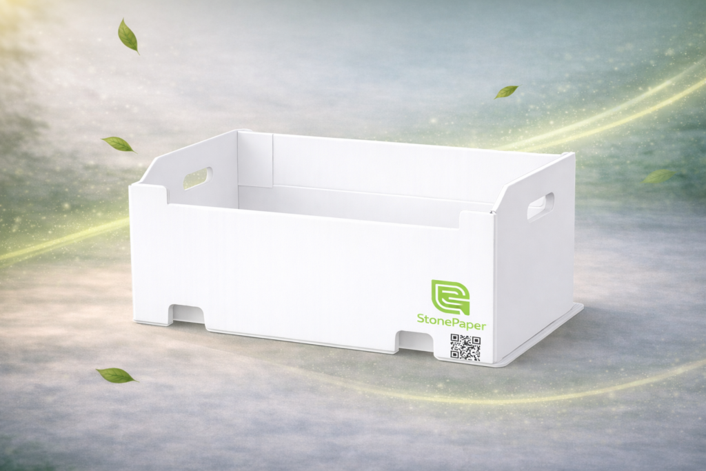Caisse Ouverte Écologique StonePaper – Grande Capacité